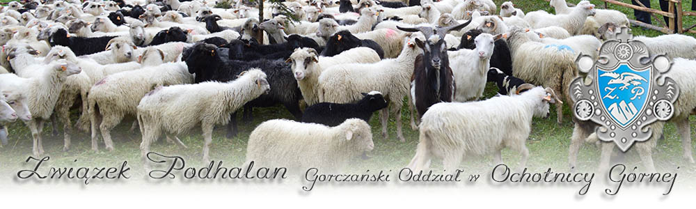 Związek Podhalan, Ochotnica Górna